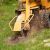 Mayfield Stump Grinding & Removal by Ground Breakers Landscaping and Demolition LLC